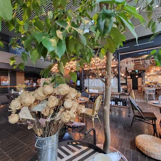 Cheese Room Melting Shop (COEX / Parnas Mall)