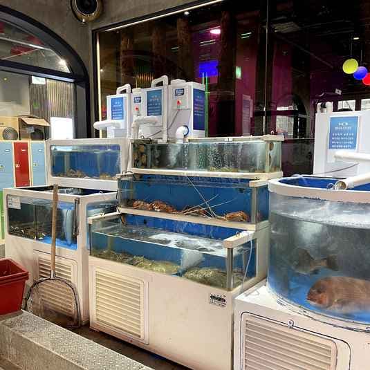 Gangnam Fish Market