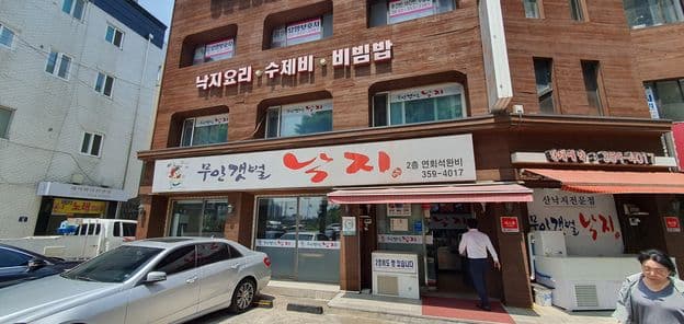 Muan Mud Flat Octopus