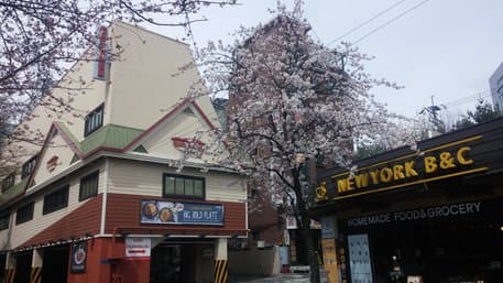 OUTBACK STEAKHOUSE Sinchon