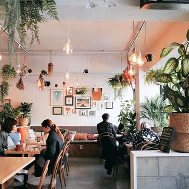 Plant Cafe Seoul (Itaewon)