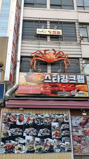 Star King Crab