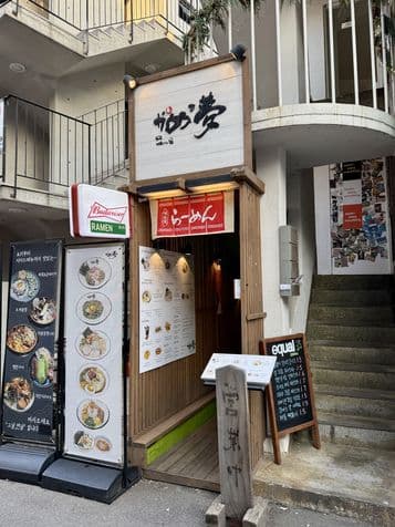 Turtle's Dream Main Branch