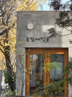 When Buckwheat Flower Blooms